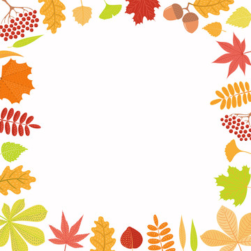 橘紅楓葉邊框插圖