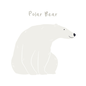 雪白北極熊插圖