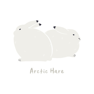 可愛北極兔插圖
