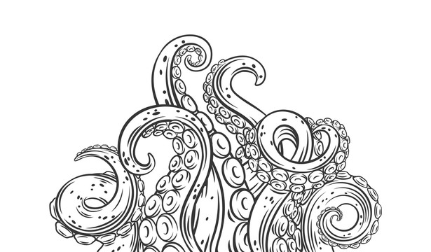 黑白手绘章鱼触须线条插图