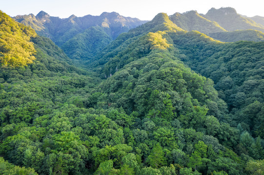 秦岭山风光