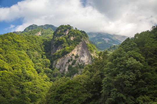 秦岭山