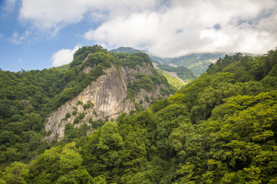 秦岭山