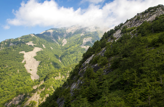 高山