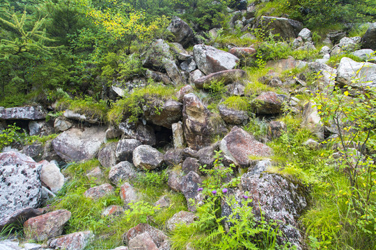 秦岭山