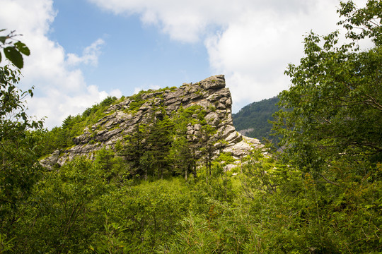 秦岭山