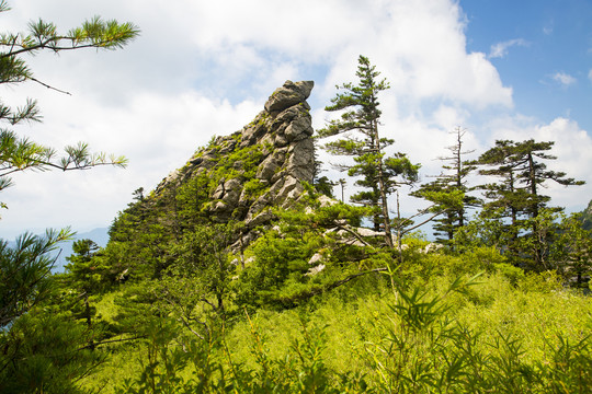 秦岭山