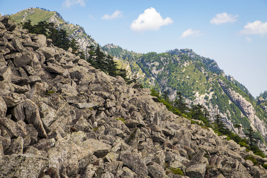 秦岭山