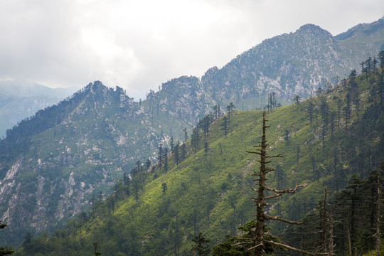 秦岭山