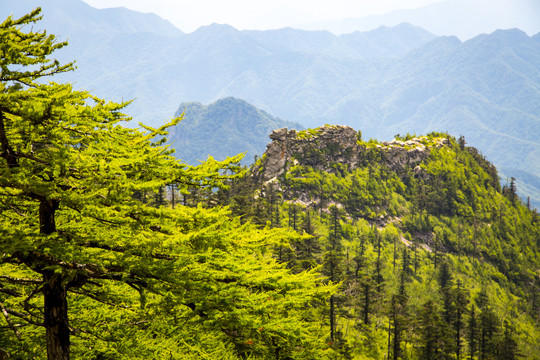 秦岭山