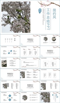 简约风工作总结汇报PPT模板