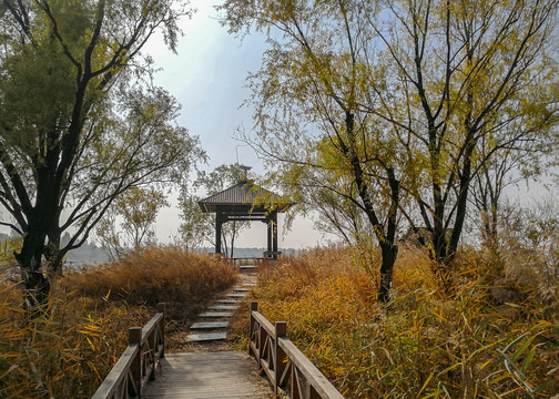 北京野鸭湖湿地公园