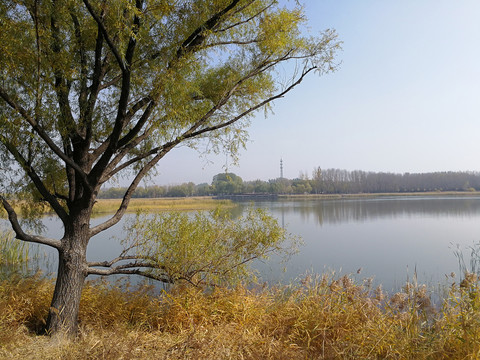 北京野鸭湖湿地公园