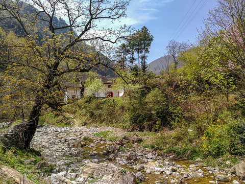 生态优良的现代山村民居