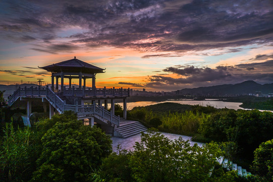 深圳石岩湖湿地公园