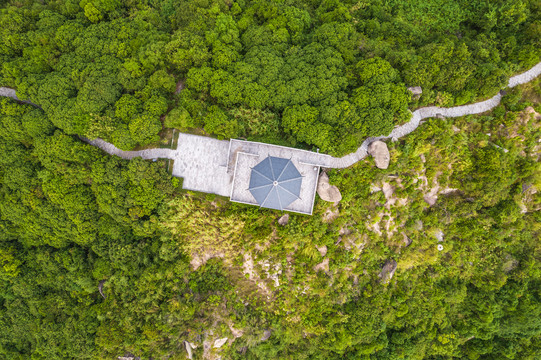 深圳石岩湖湿地公园