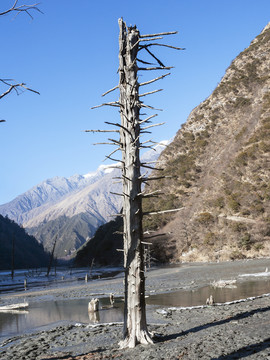 贡嘎山巴王海