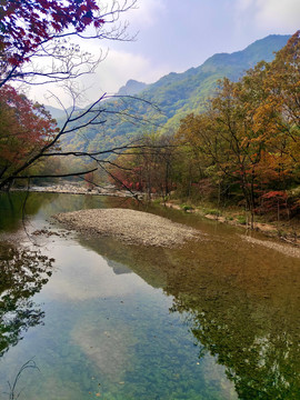 沙丘枫红映山色