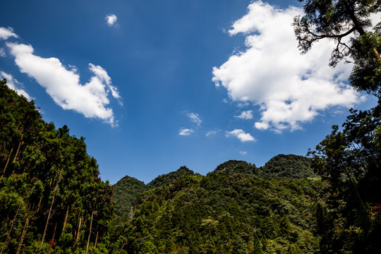 四面山风光