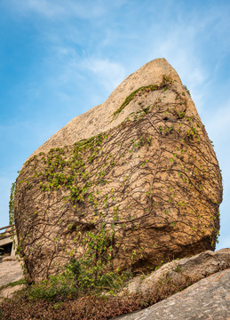 衢州小梅山景区