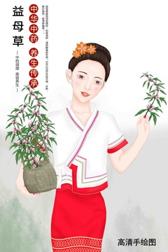 益母草插画