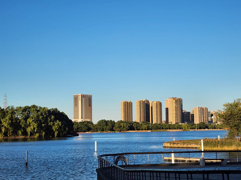 沈阳浑河岸边的建筑和绿树