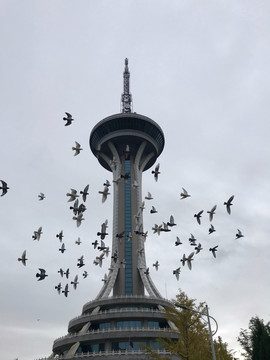 和平鸽与黄海明珠塔