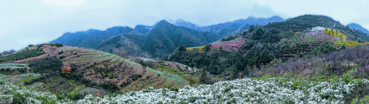 歙县金竹岭