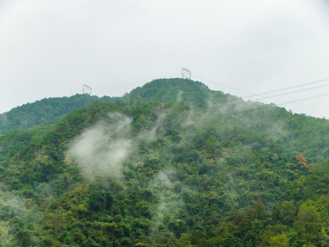 高山云雾