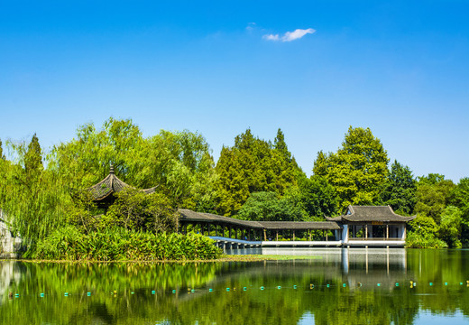 园林风景