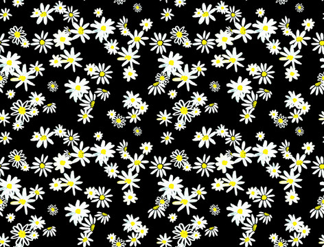 黑底菊花