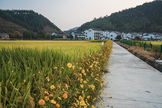 杭州桐庐美丽乡村