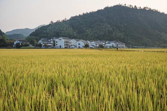 杭州桐庐美丽乡村