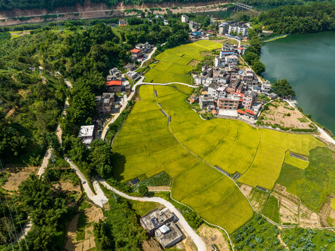 乡村夏日美丽江湾景美如画