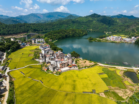 乡村夏日美丽江湾景美如画