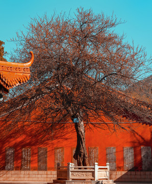 寺院风景