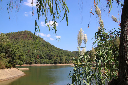 绿水青山白云飘