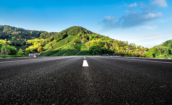 高速公路和茶园茶田