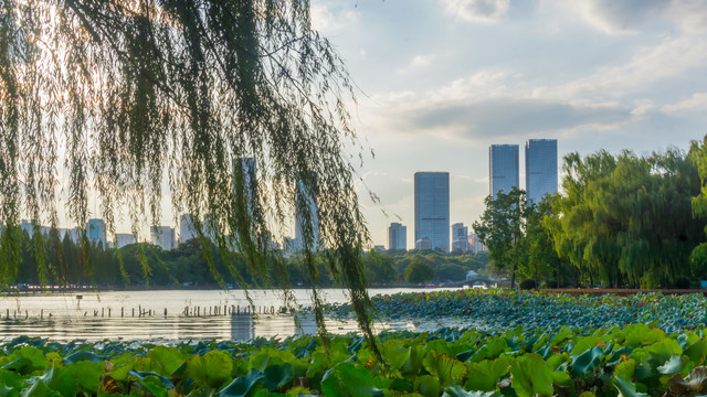 湖畔风景