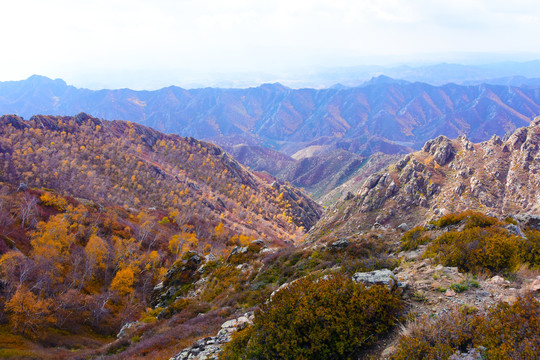 山景