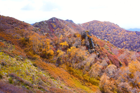 高山风景