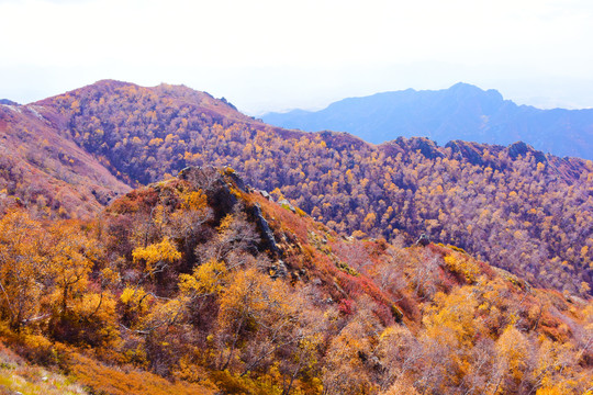 高山美景