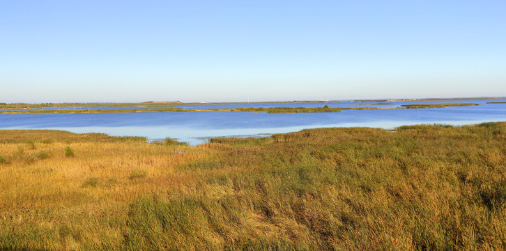 呼兰河口湿地