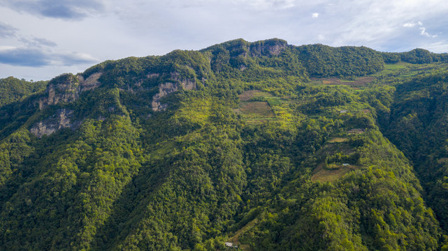 大坪村群山