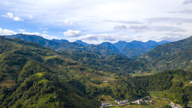 大坪村风光