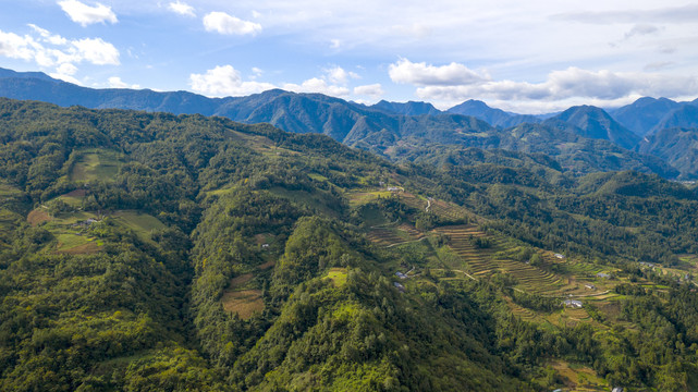 大坪村秋景