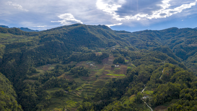 大坪村群山