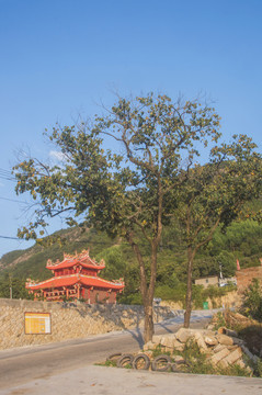 闽南乡村路边风景