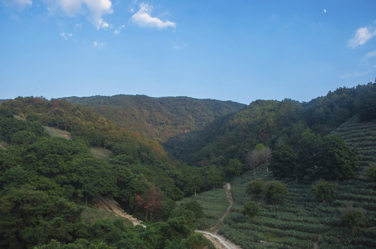 福建丘陵山地风景