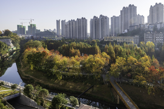 湖北宜昌市运河湿地公园秋色